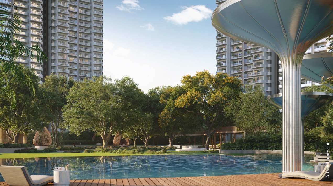 glimp-indulgence-version-new_2 (1)